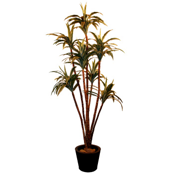 D09 Decorative palms trees